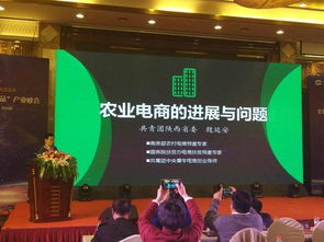 全國(guó)首屆“百縣百品”產(chǎn)品峰會(huì)圓滿(mǎn)落幕，區(qū)域品牌共繪鄉(xiāng)村振興新篇章